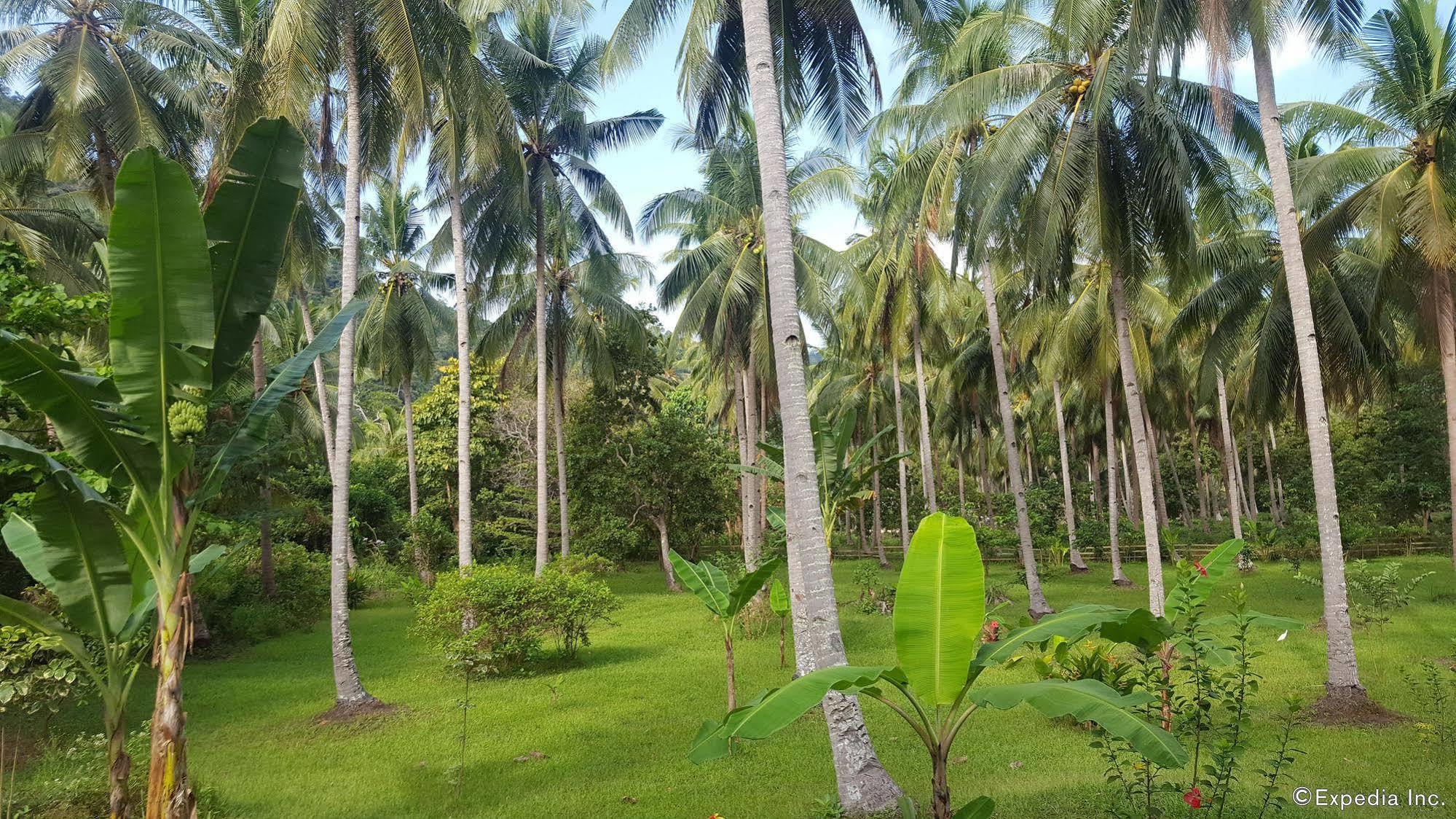 Mangrove Resort Puerto Princesa Eksteriør bilde